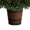 5ft. Pre-Lit Colorado Aspen Artificial Christmas Tree in Decorative Planter, White LED Lights
